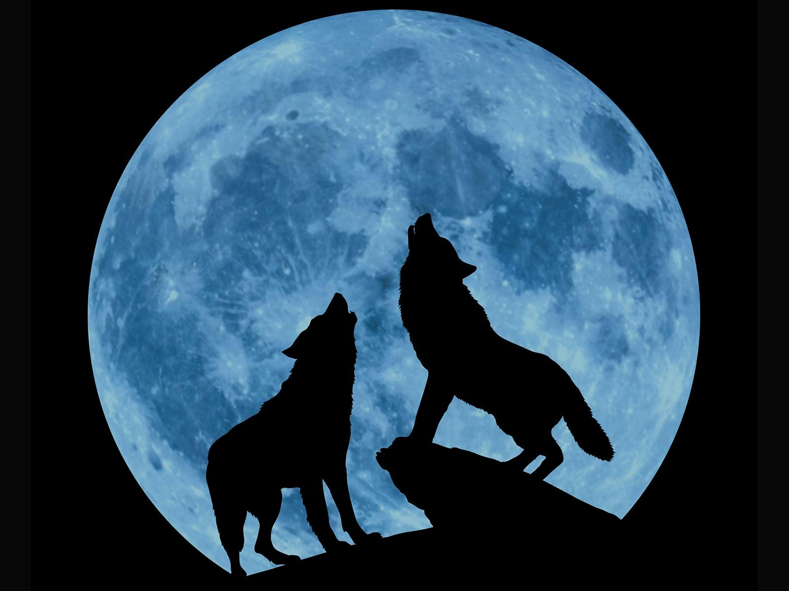 Creedence
