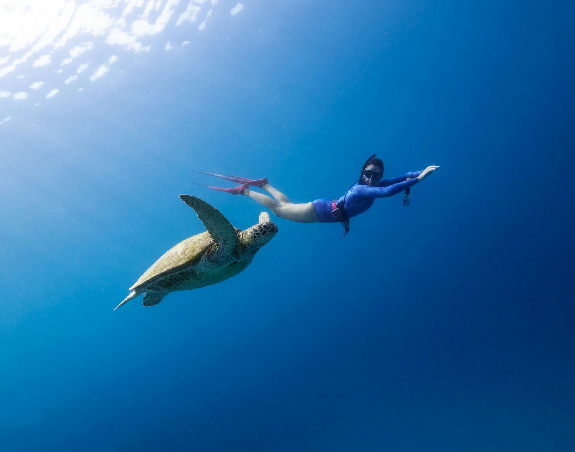 Freediver and green sea turtle