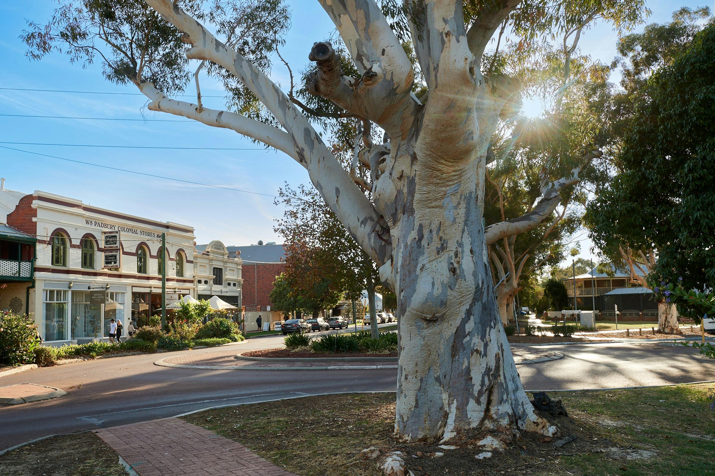 Offers shopping and dining