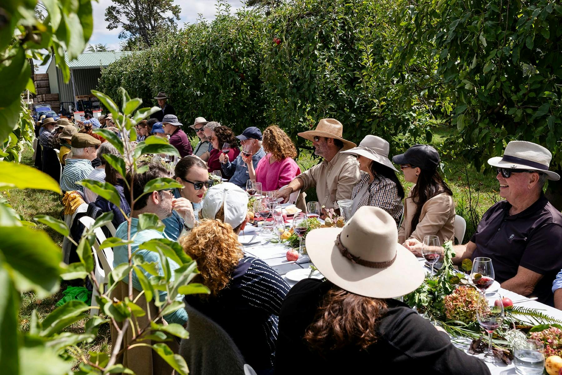 Mittagessen vom Weinberg auf den Tisch