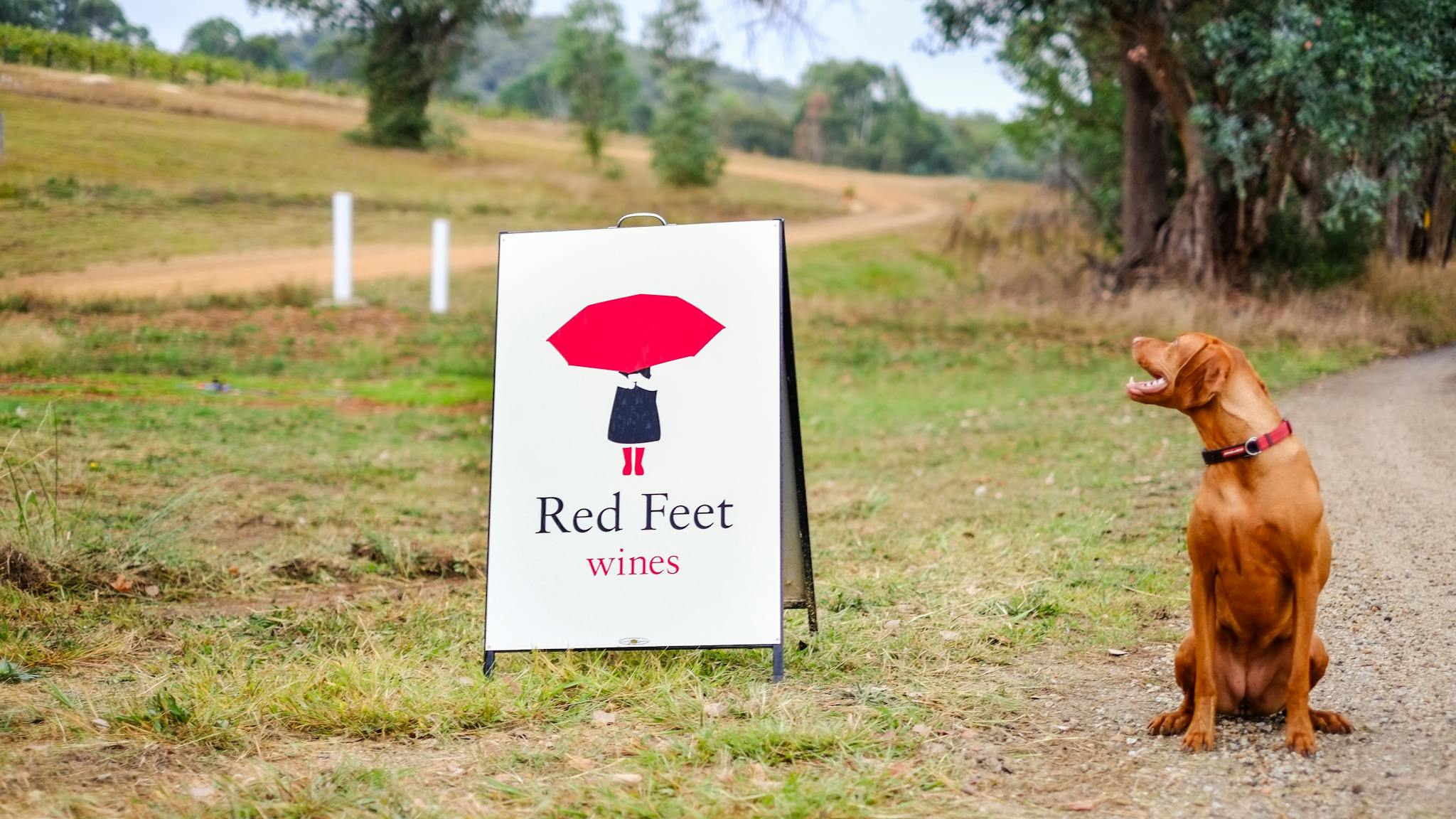 Red Feet Wines