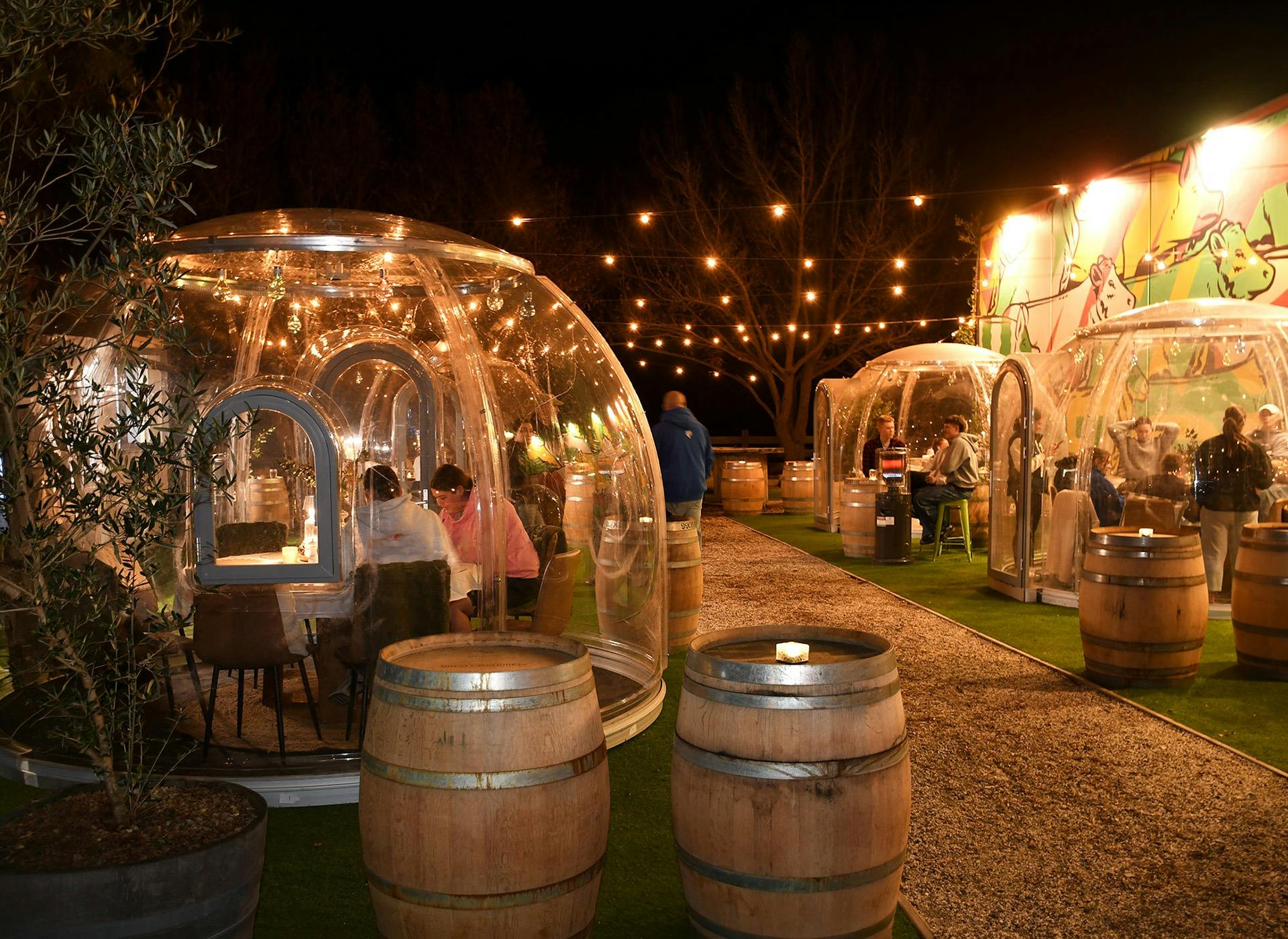Winter Igloos at the Market Hotel Ballarat