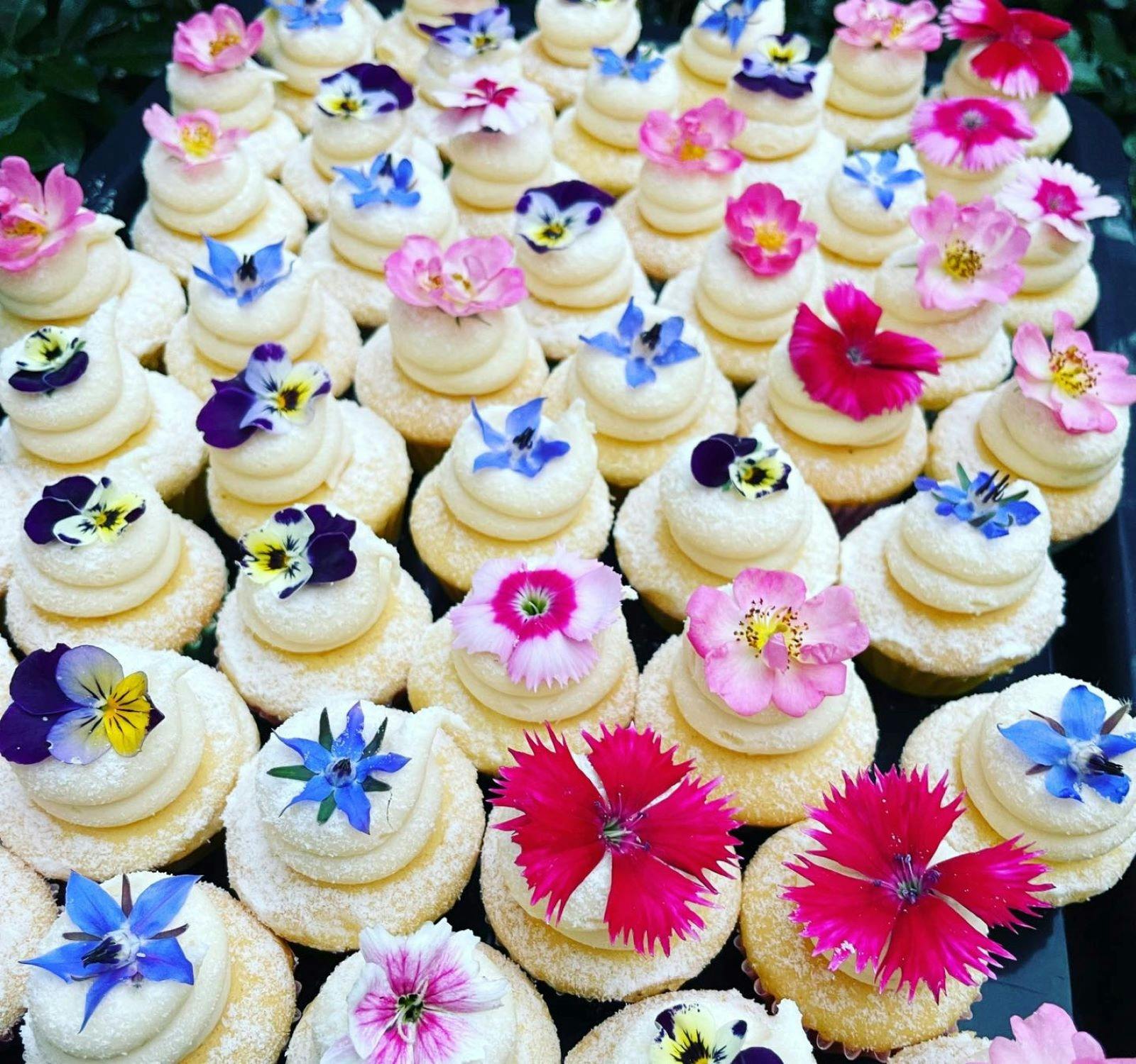 Mini Cupcakes