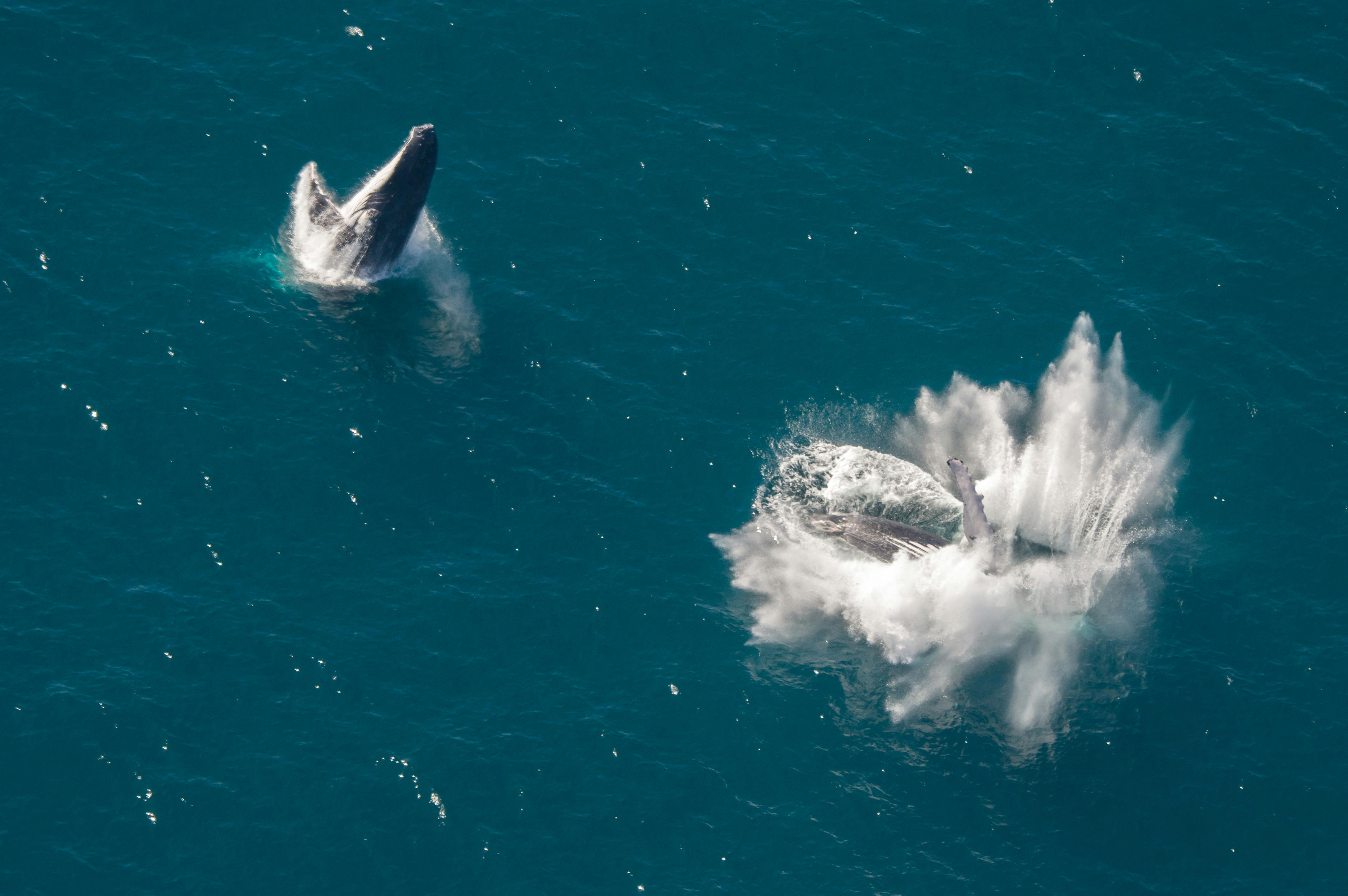 Ningaloo Aviation, Exmouth, Western Australia