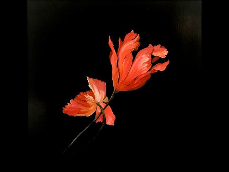 Image of the event 'Flowers in Oils with Megan Seres at Kiama Art Workshops'
