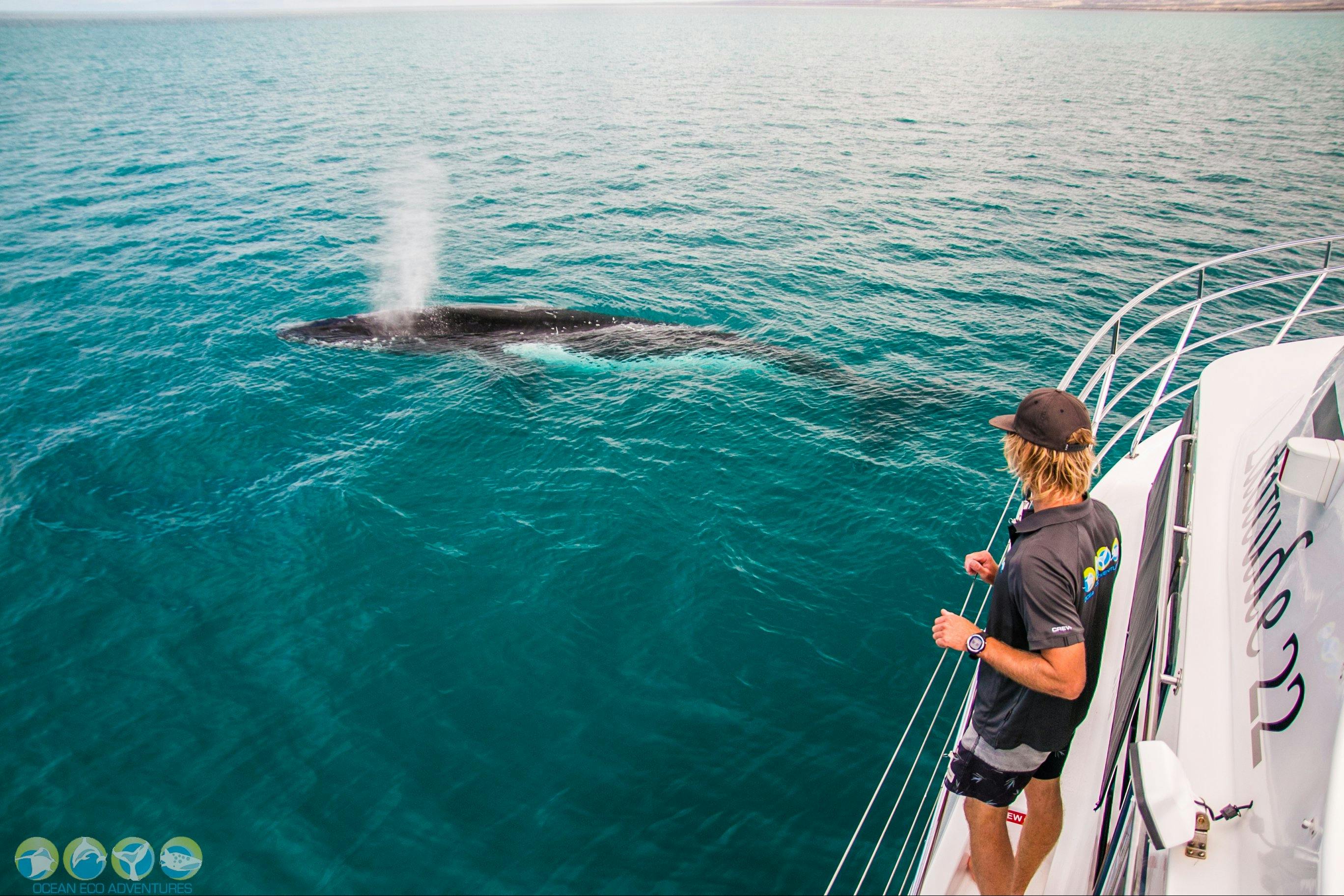 Ocean Eco Adventures, Exmouth, Western Australia