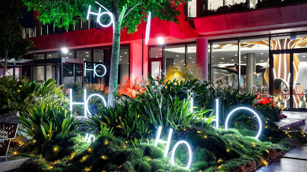 Christmas lights in tree