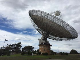 Dish café