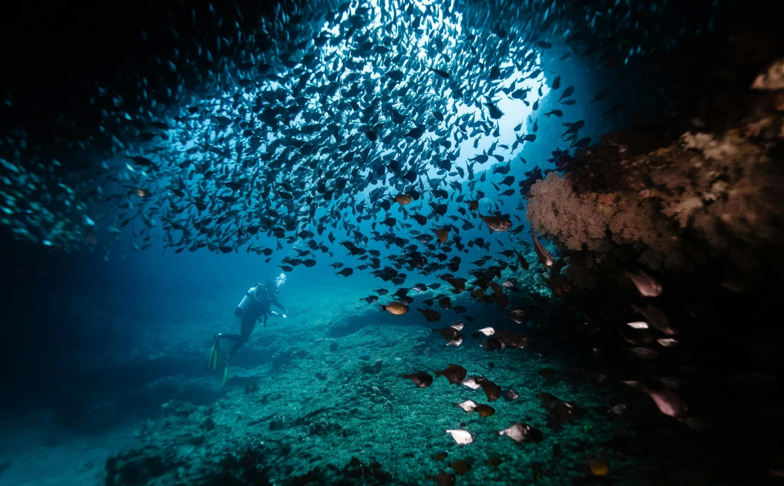 Dive site - Amphitheatre