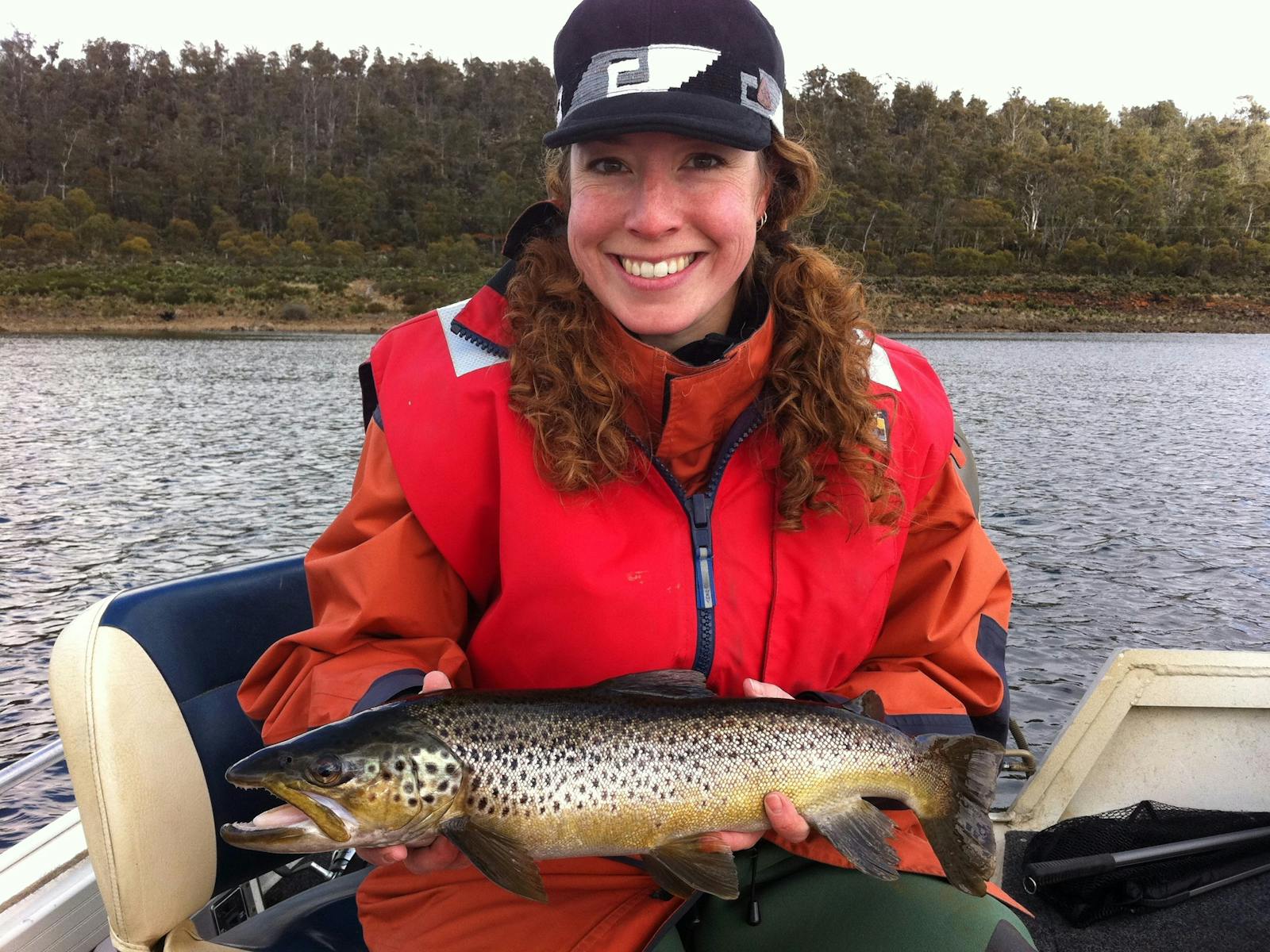 Great lake wild brown trout.