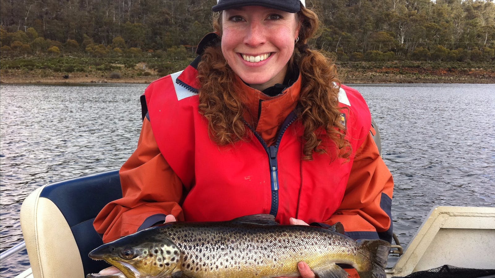 Great lake wild brown trout.
