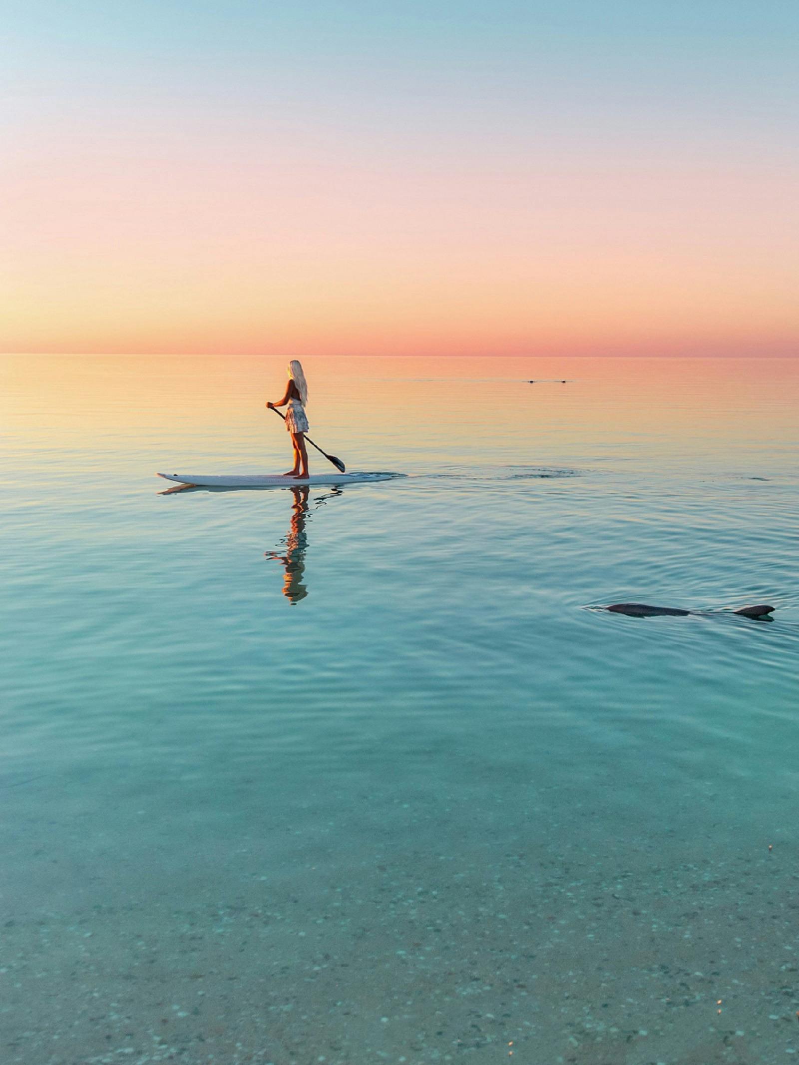 Monkey Mia, Shark Bay World Heritage Area, Shark Bay, Western Australia