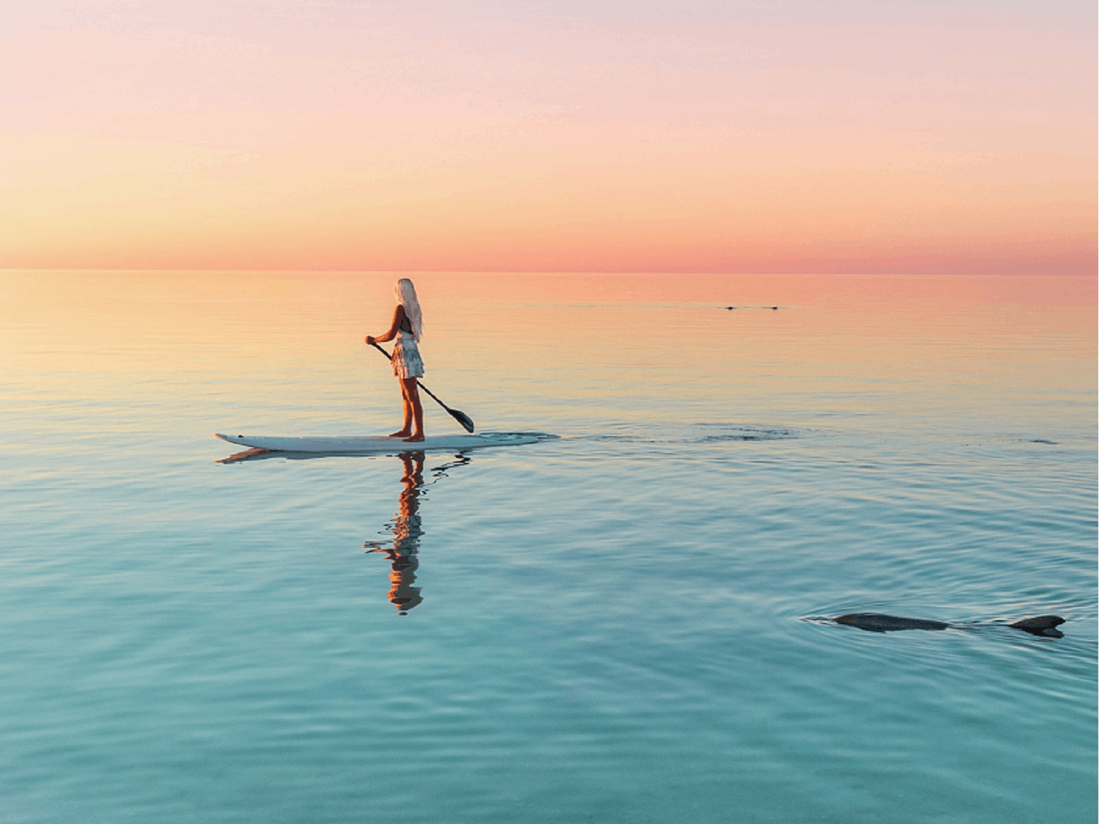 Monkey Mia, Shark Bay World Heritage Area, Shark Bay, Western Australia