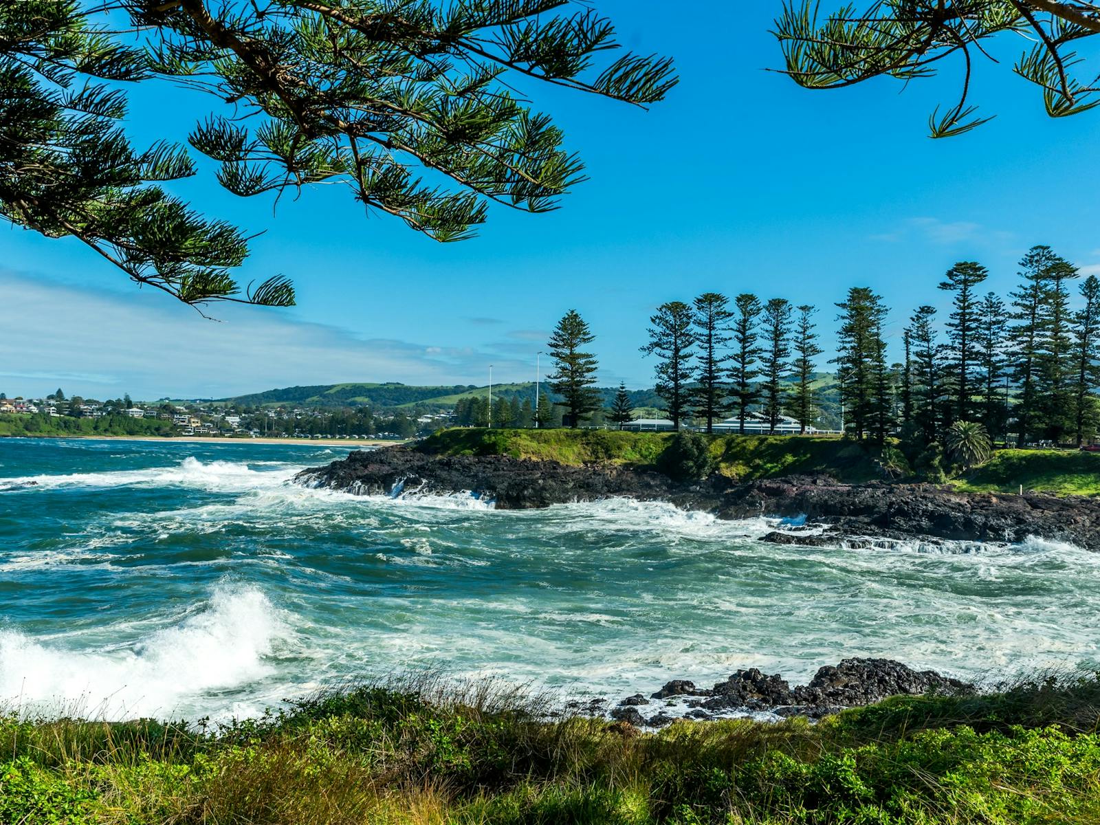 Ocean waves with pine tree shoreline