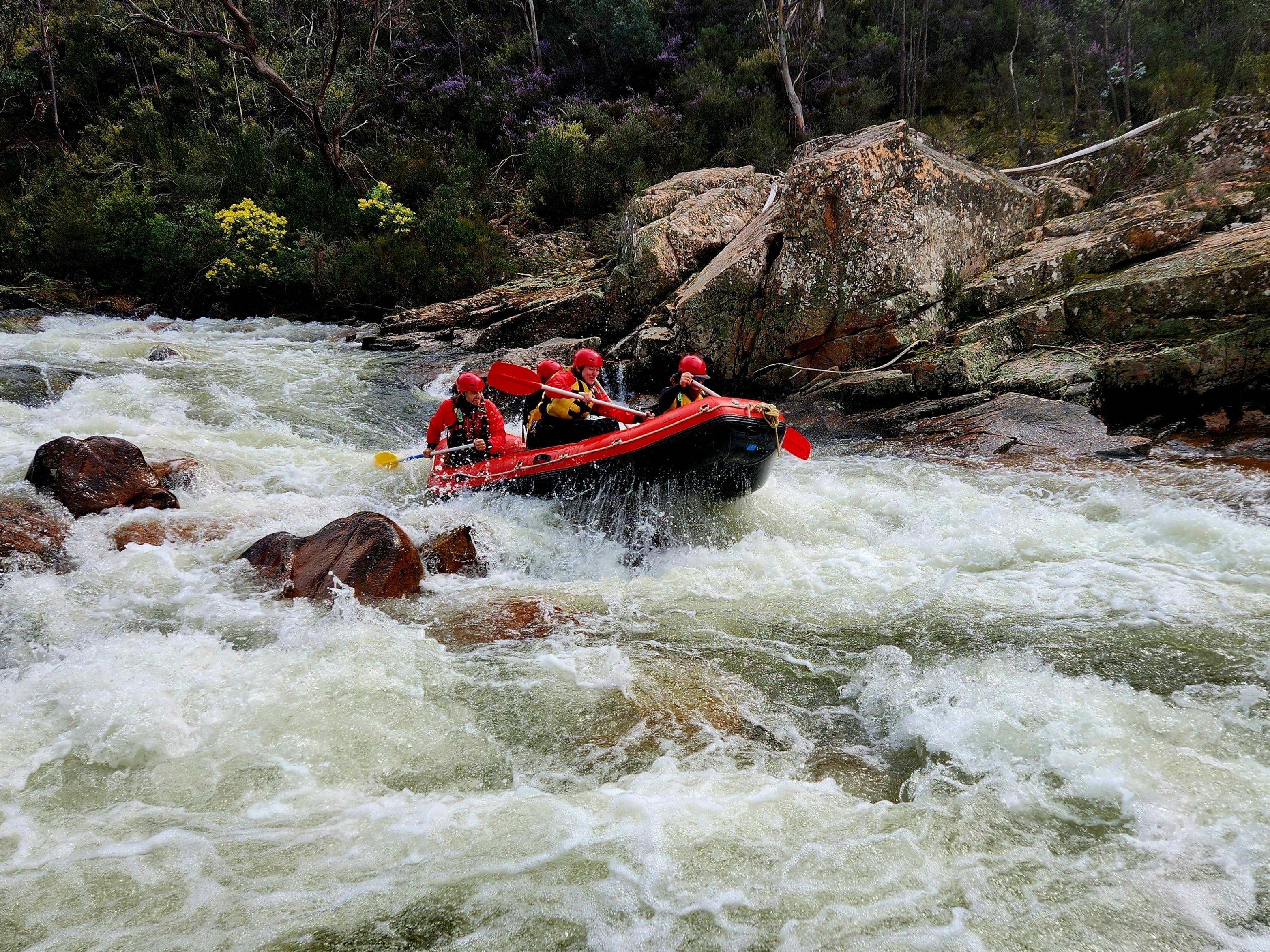 A red whitewater raft on the Mitta Mitta River in the middle of 'Dislocation Rapid'