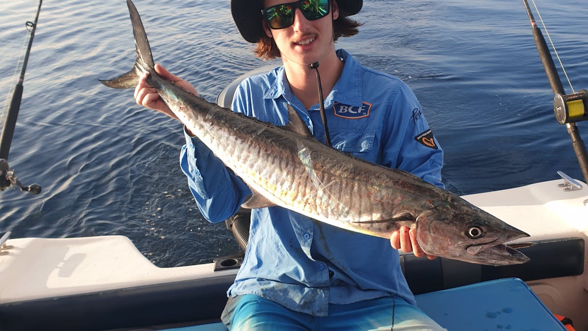 Spanish Mackerel