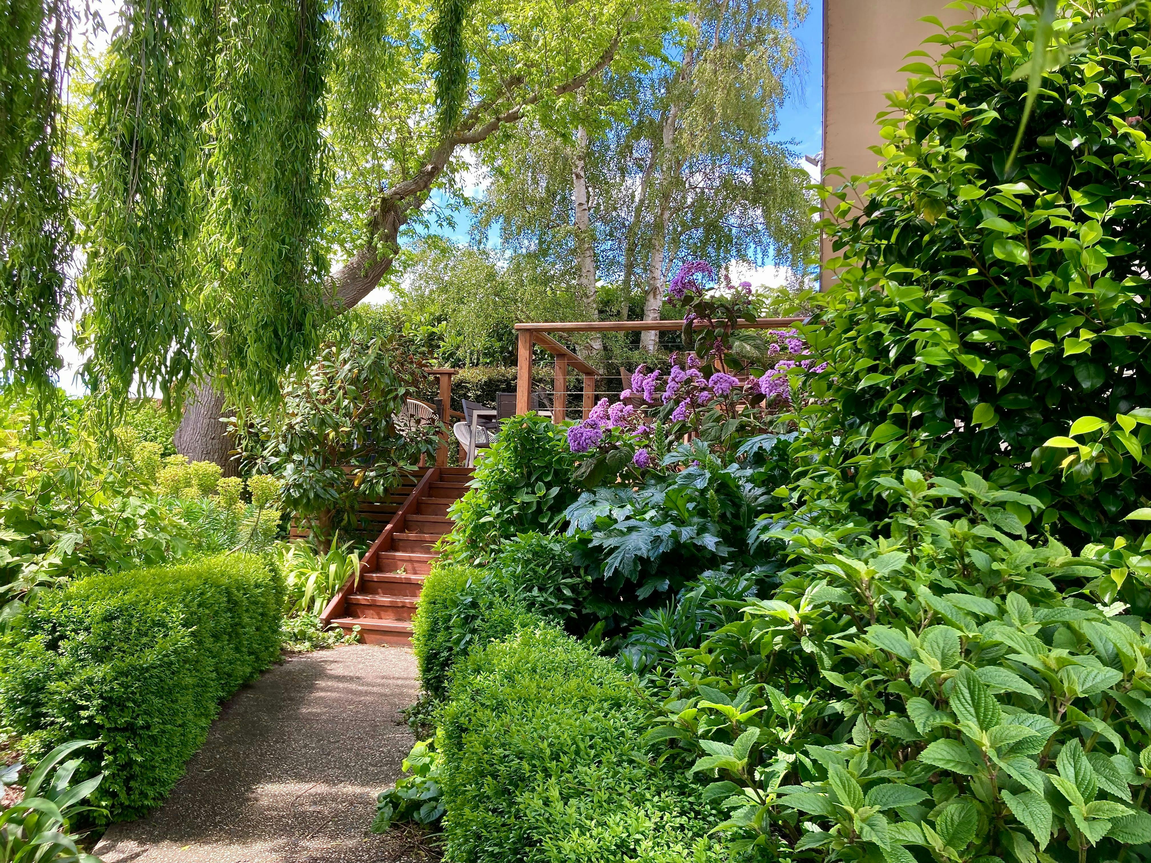 Open Gardens Victoria - Hydrangea House, steps up to the back deck