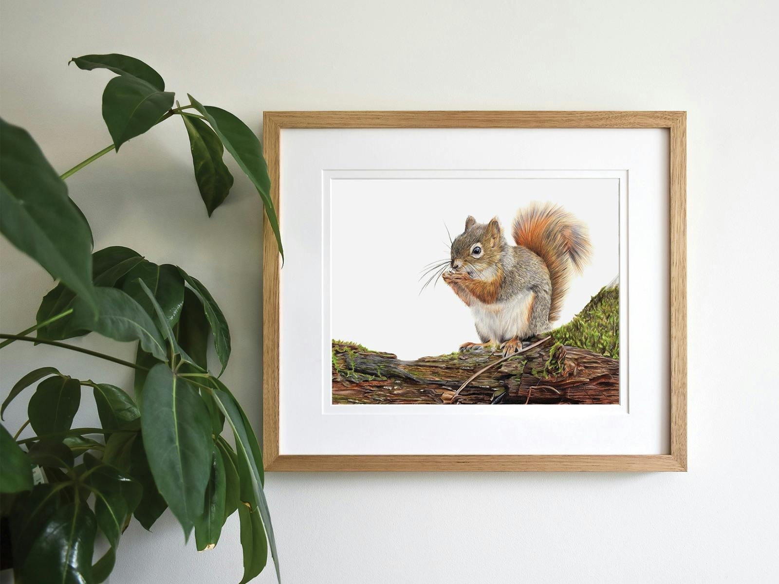 Framed artwork of a squirrel on the wall with a plant in front of it.