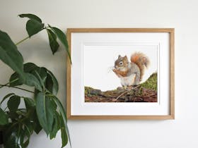 Framed artwork of a squirrel on the wall with a plant in front of it.