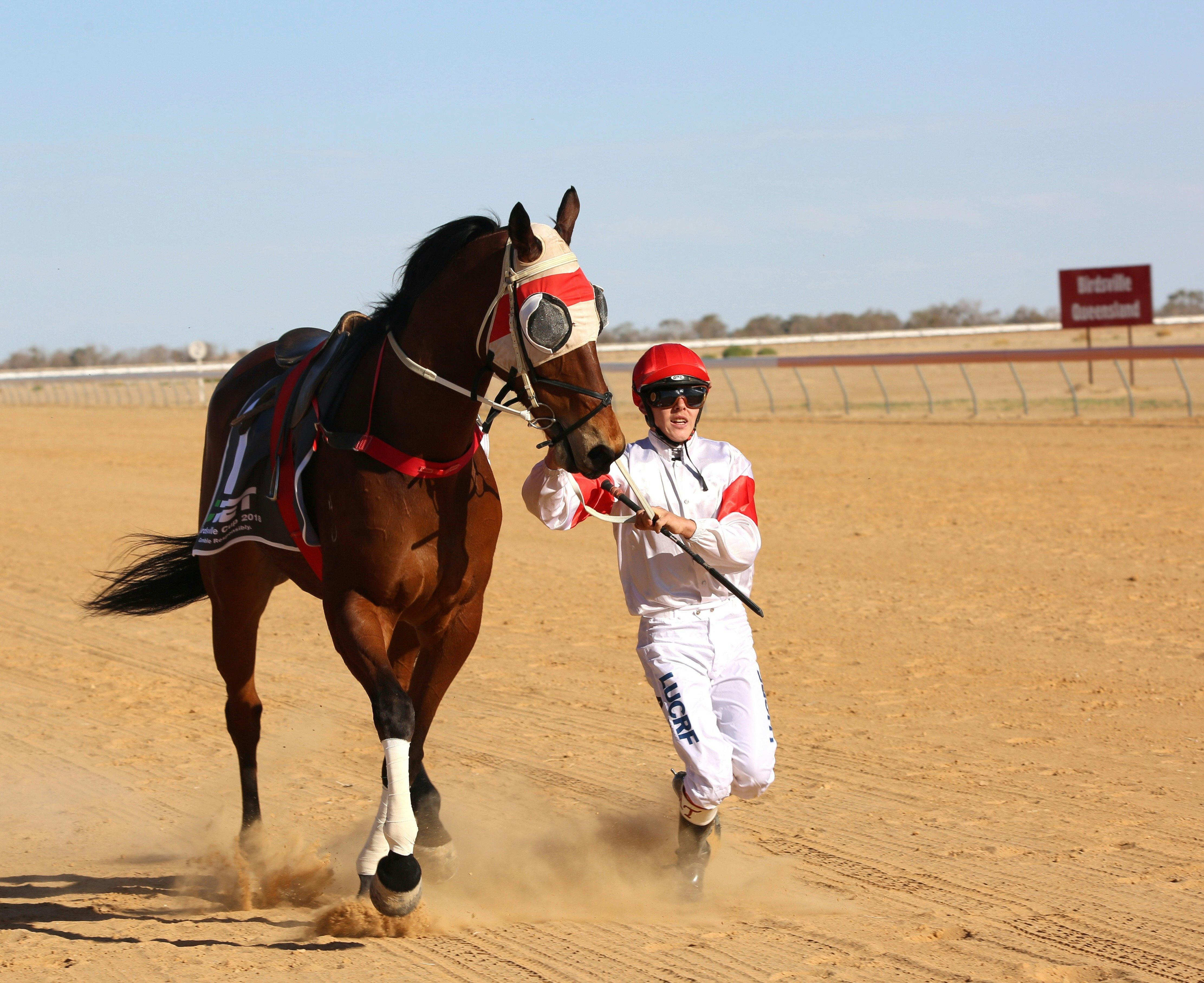 Outback Pubs Tour -Birdsville Races