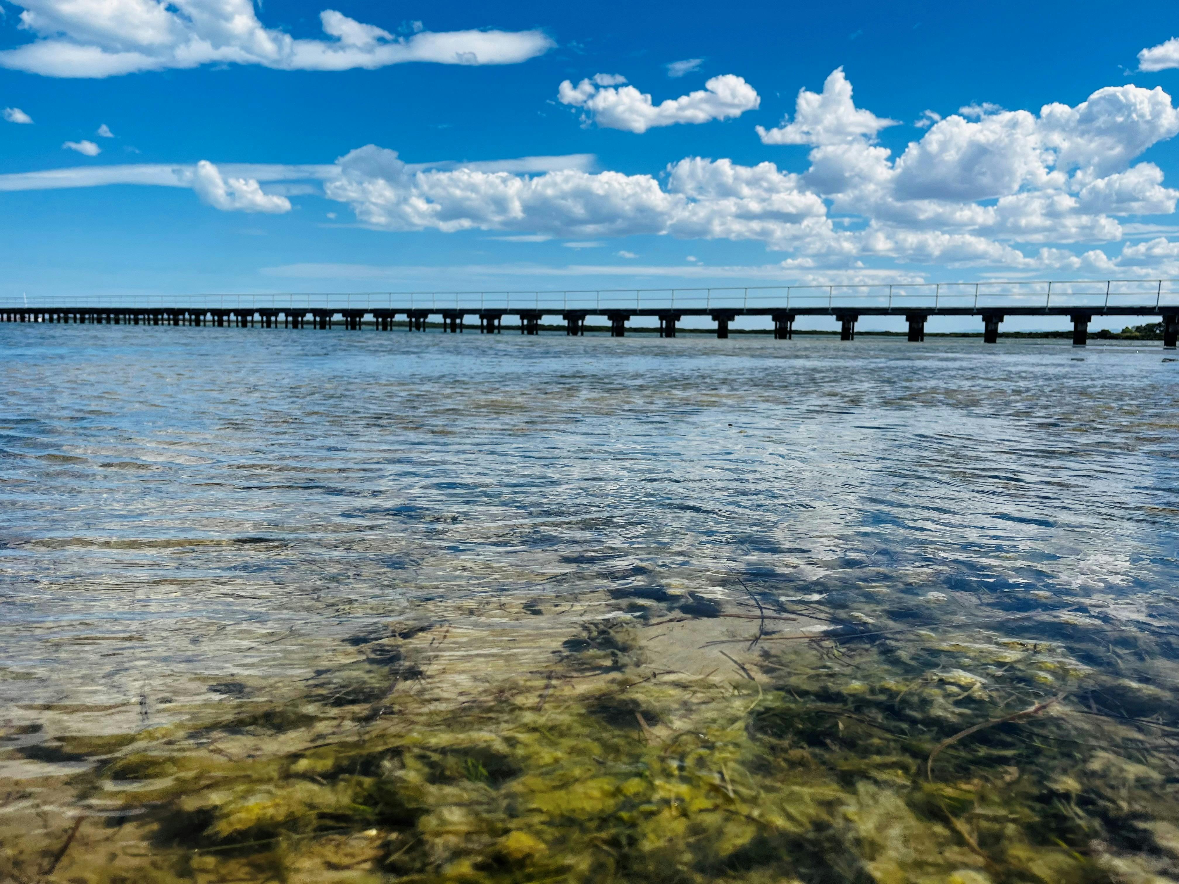 McLoughlin's Beach Jetty