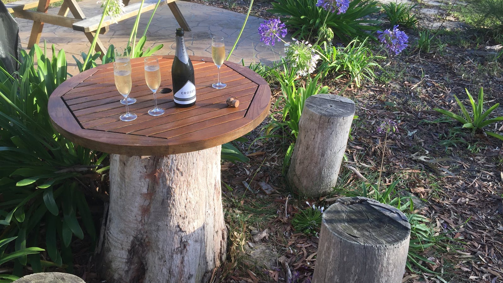 Enjoy breakfast or drinks or a BBQ under the gumtrees.