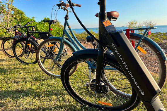 自行车修理达尔文