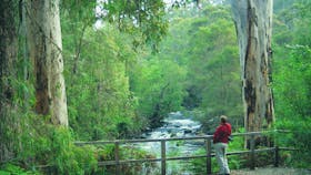 Cascades, Pemberton, Western Australia