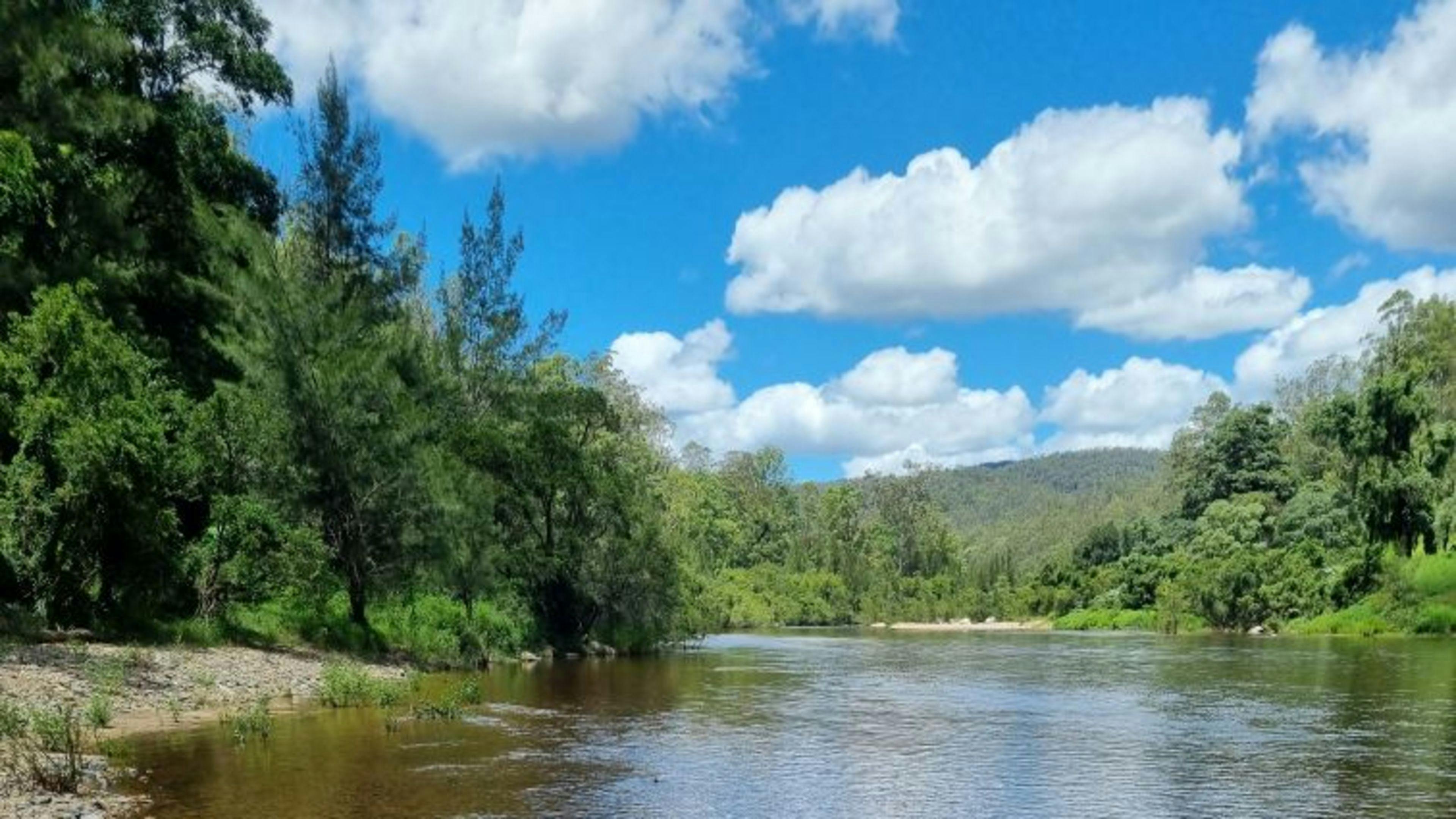 イーグルリッジブッシュリトリート