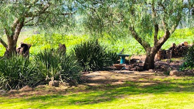 Eagles Nest Gundagai