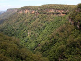 East Rim wildflower walking track