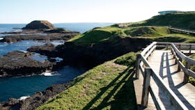 Phillip Island - The Nobbies