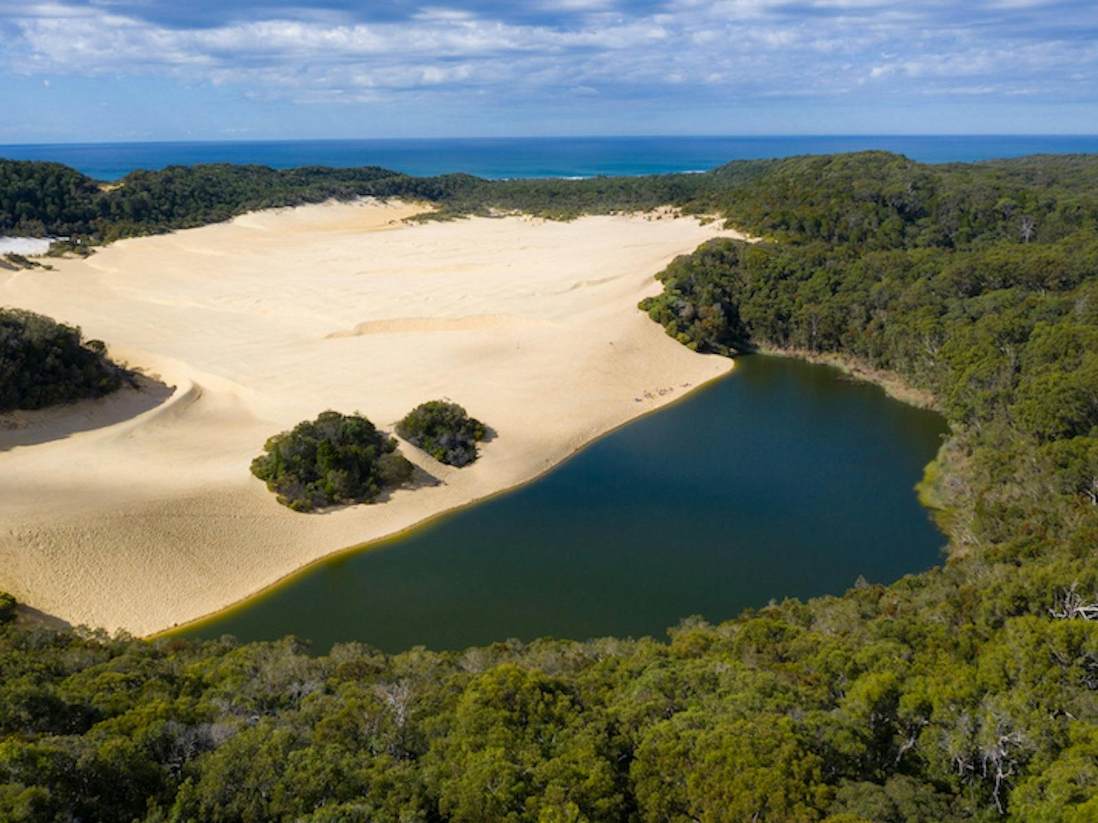 Dingo's K'gari Adventures - Lake Wabby