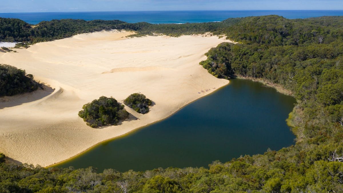 Dingo's K'gari Adventures - Lake Wabby