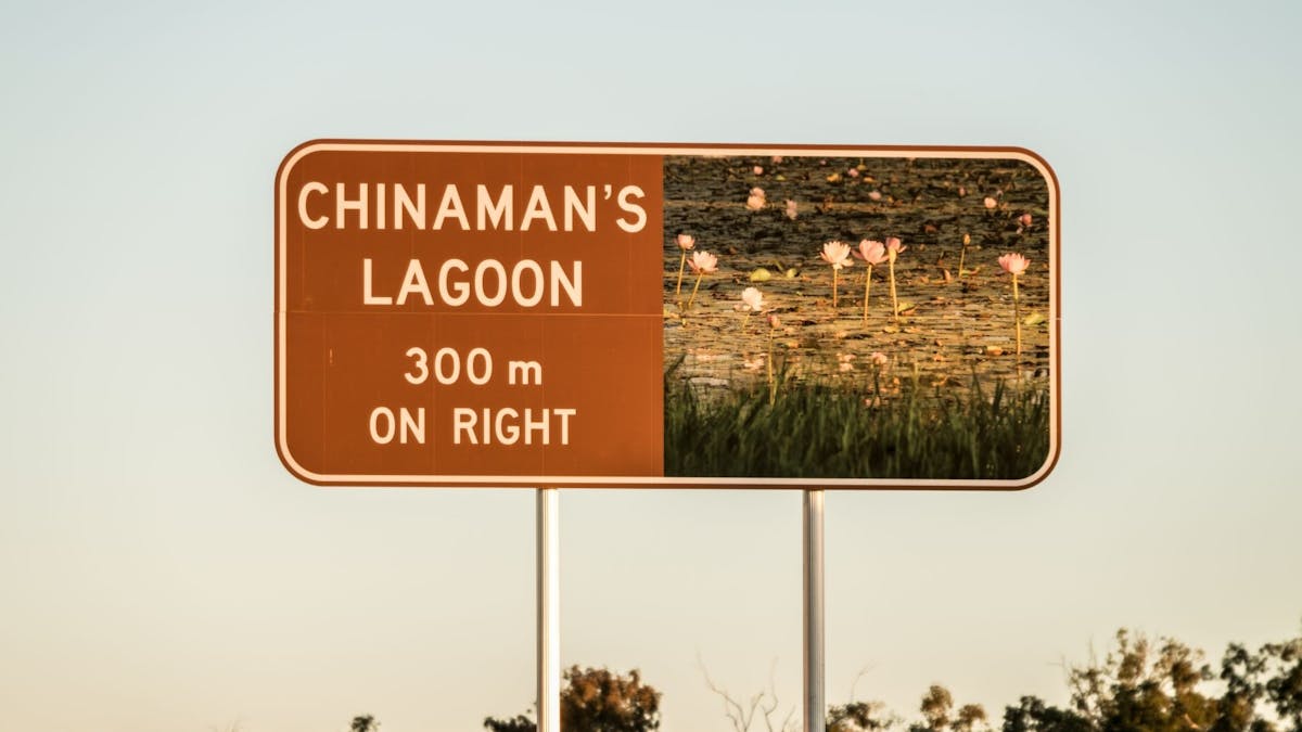 Chinaman's Lagoon Miles Water Lillies