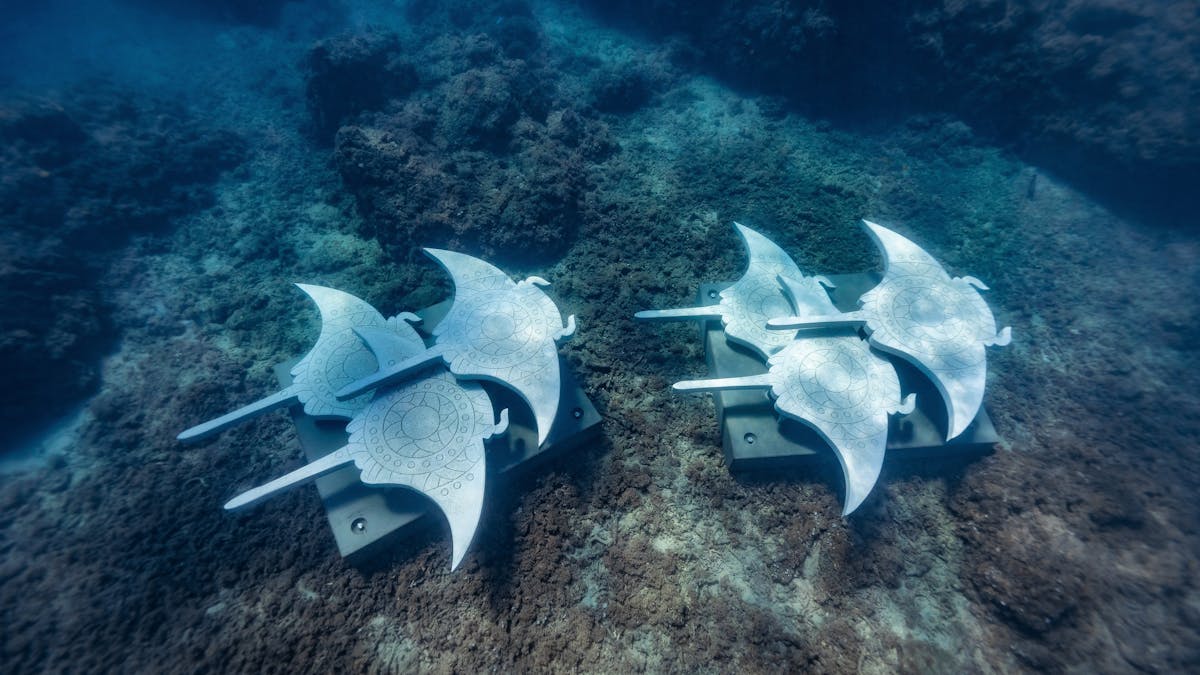 Underwater photo of six manta ray sculptures