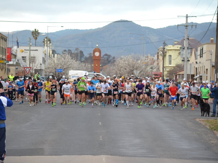 Marathon, Half Marathon Mudgee