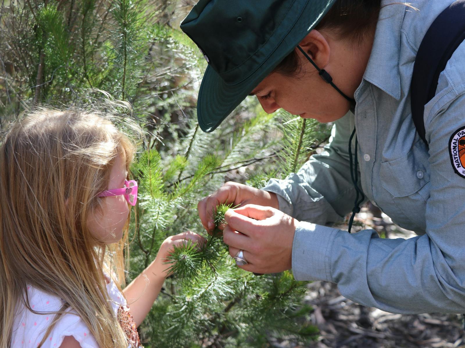 Image for Winter Series Sensory Walk at Dharawal National Park