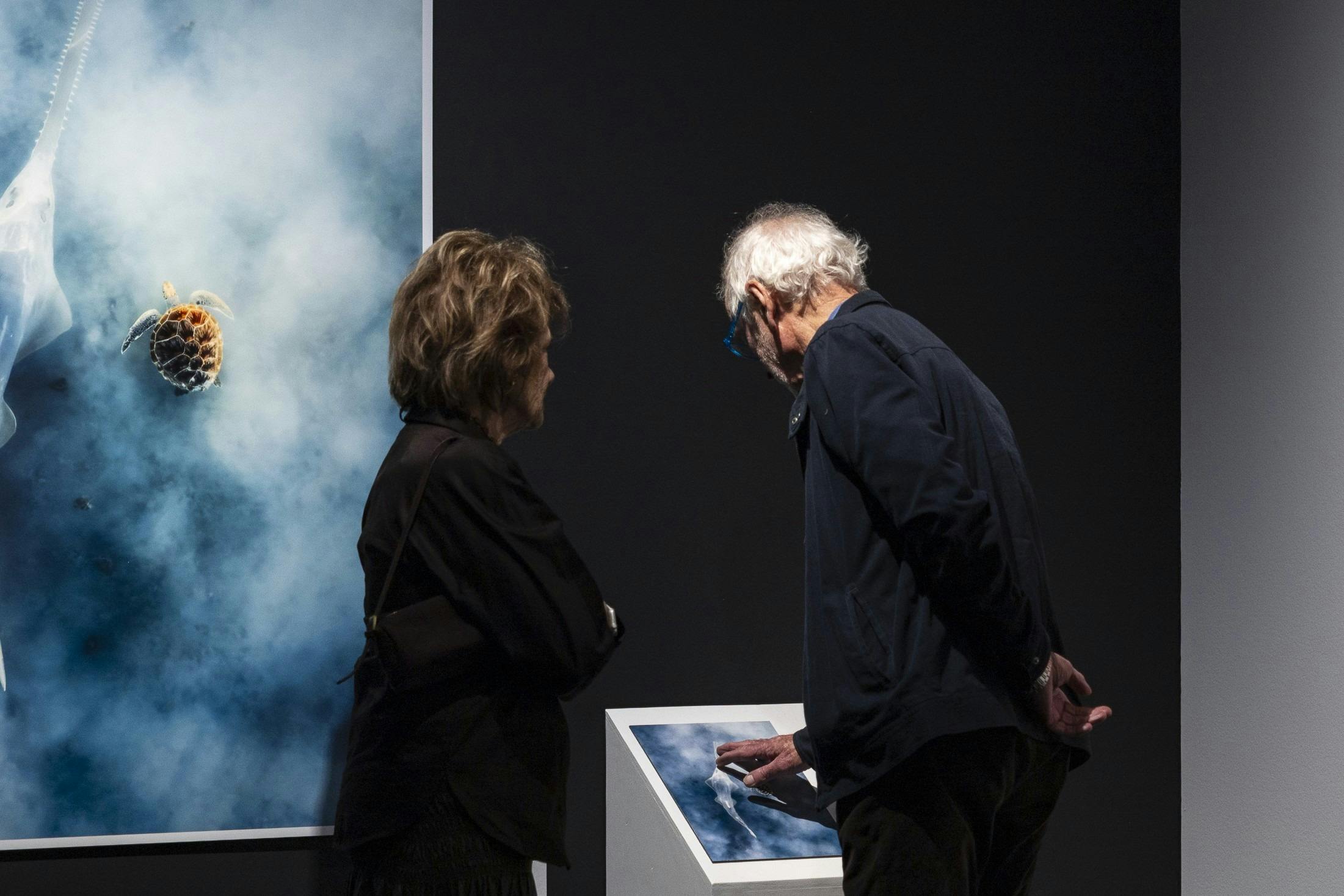 Visitors viewing a wildlife photograph and interactive display in a gallery exhibition