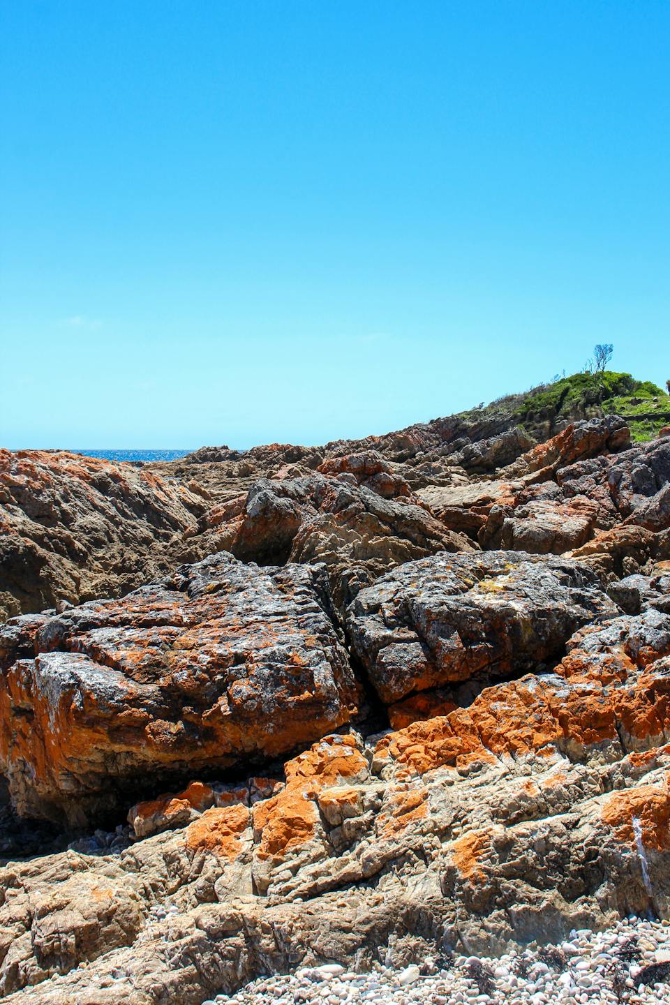 Boat Harbour Beach photo