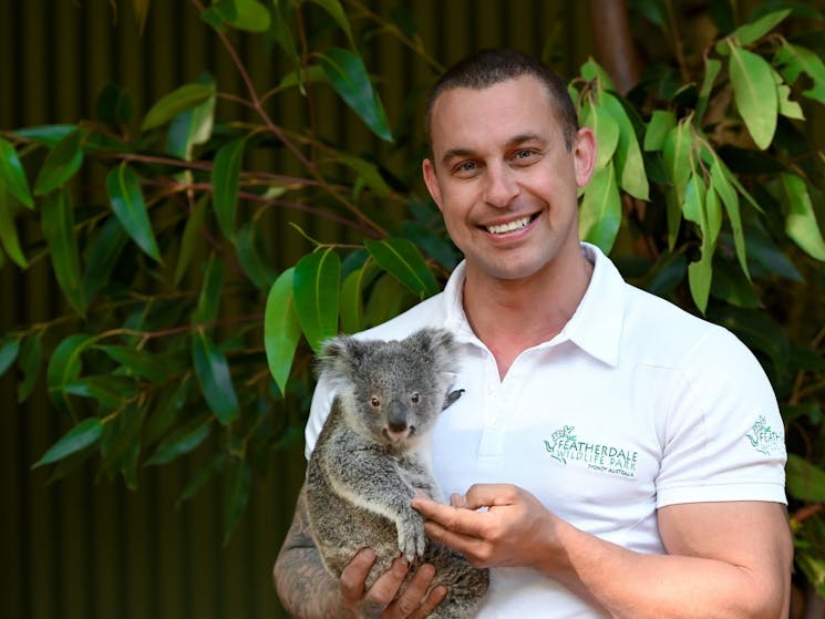 Zookeeper Chad Staples with Bungarribee  "Gabbie" the koala joey