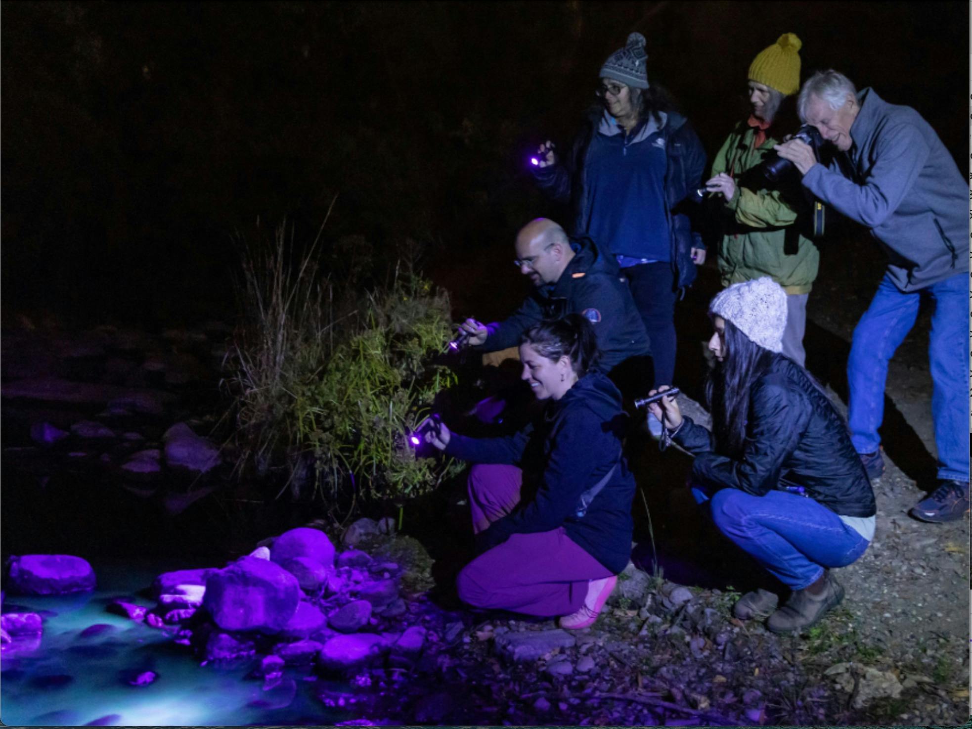 Beaker Street - Glow Tours