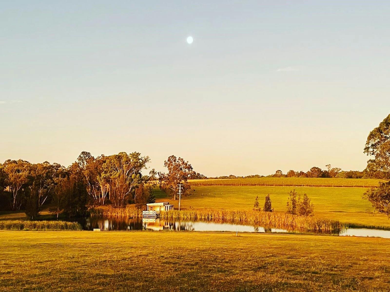 블록 에이트 에스테이트