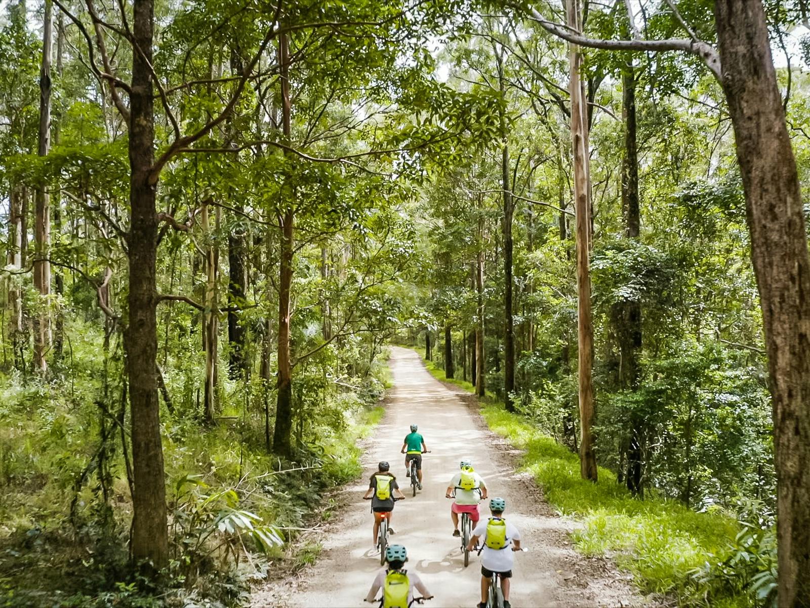 Drone shot of a group of cyclists on E Bikes on a gravel road amongst the trees in National Park