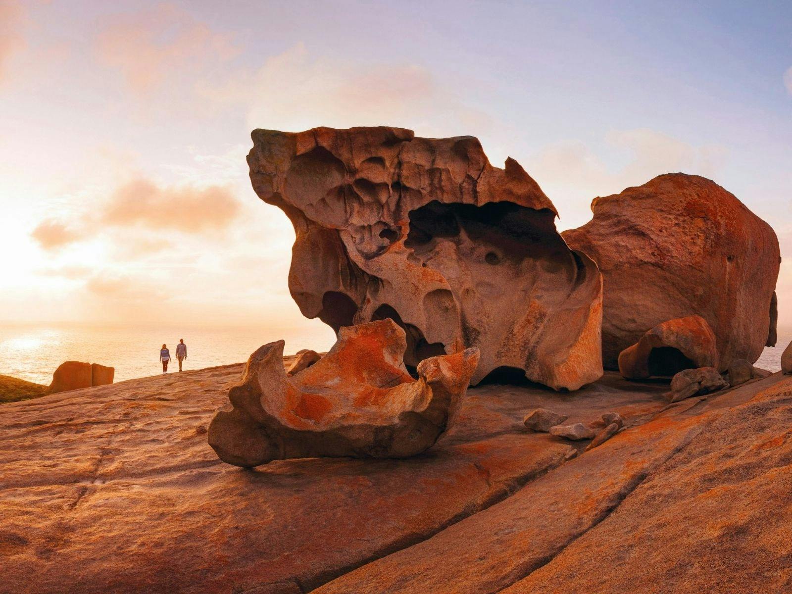 5 Day Kangaroo Island Wildlife & Wilderness