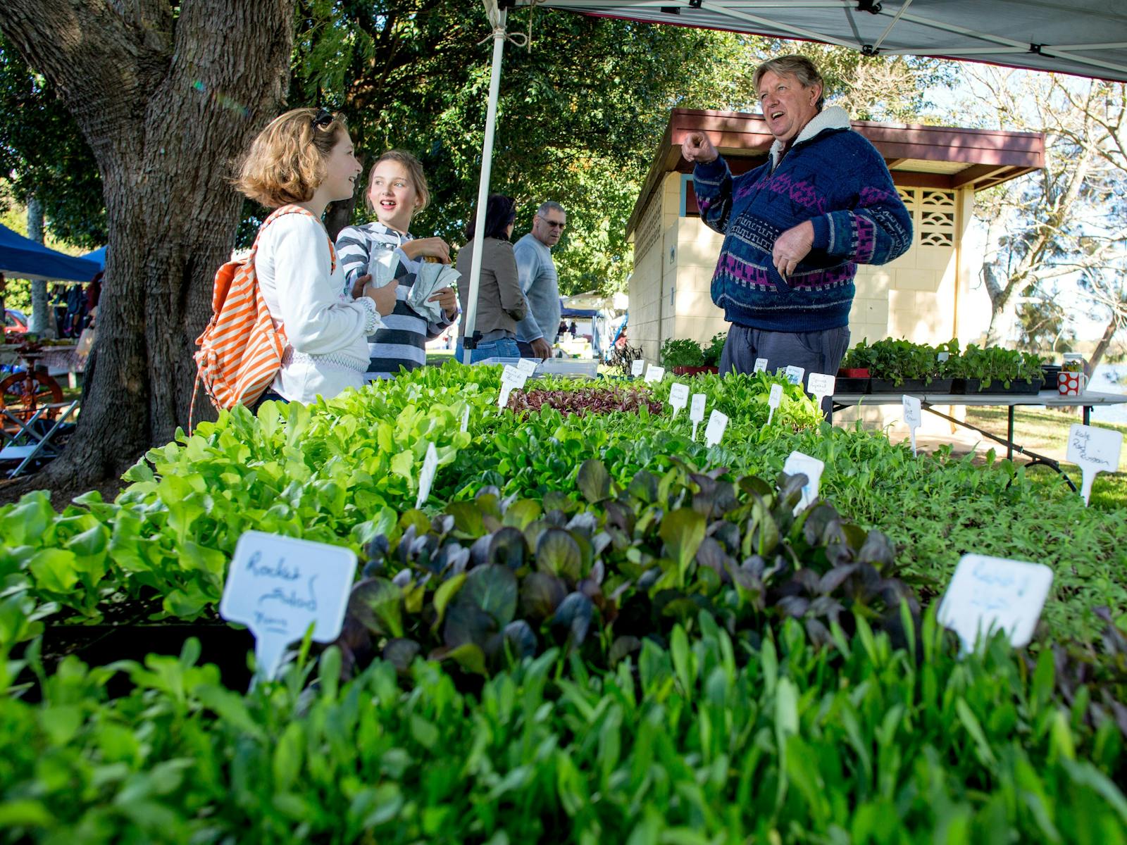 Locally grown plants and seedlings