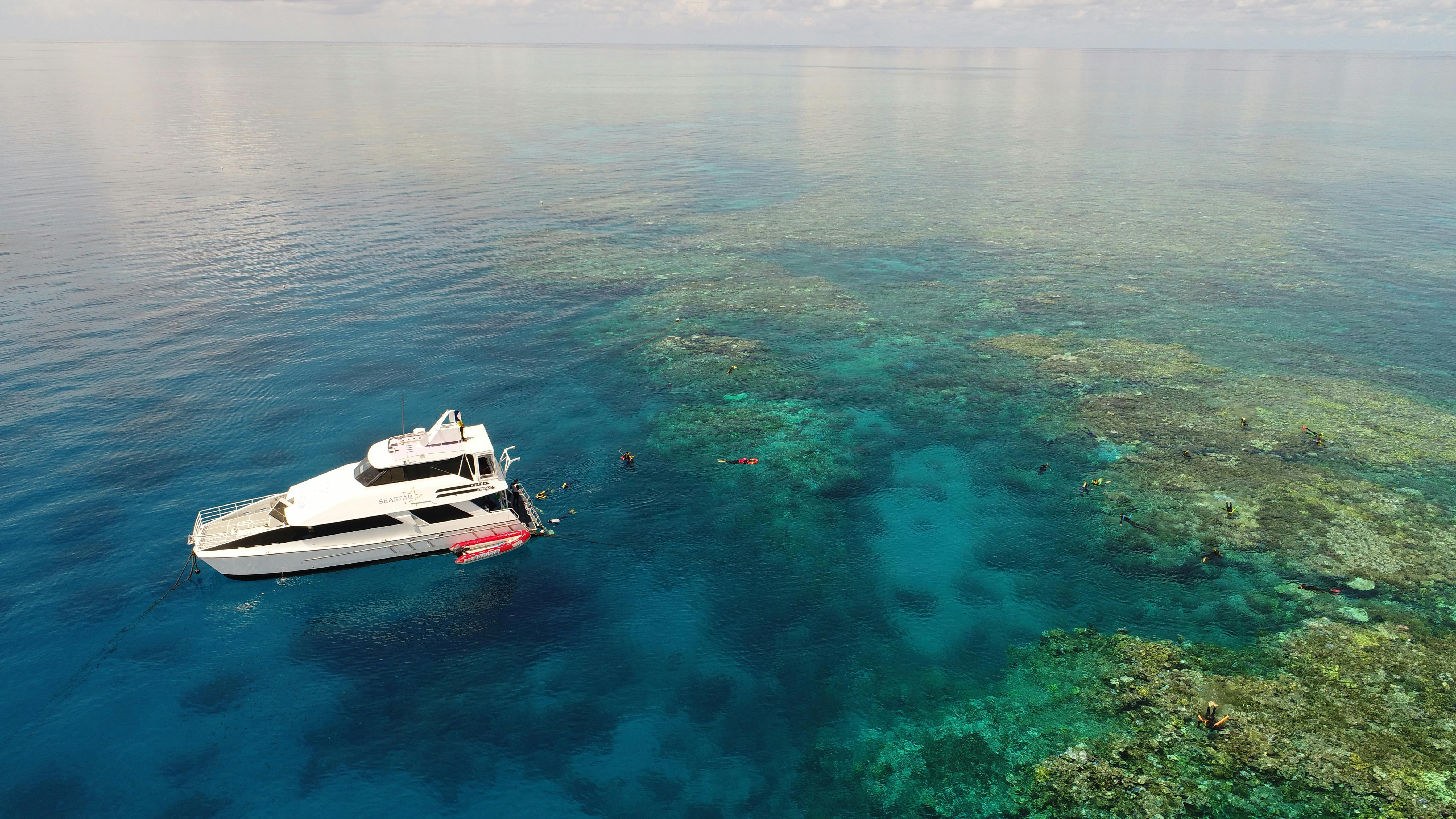 Seastar at Hastings Reef