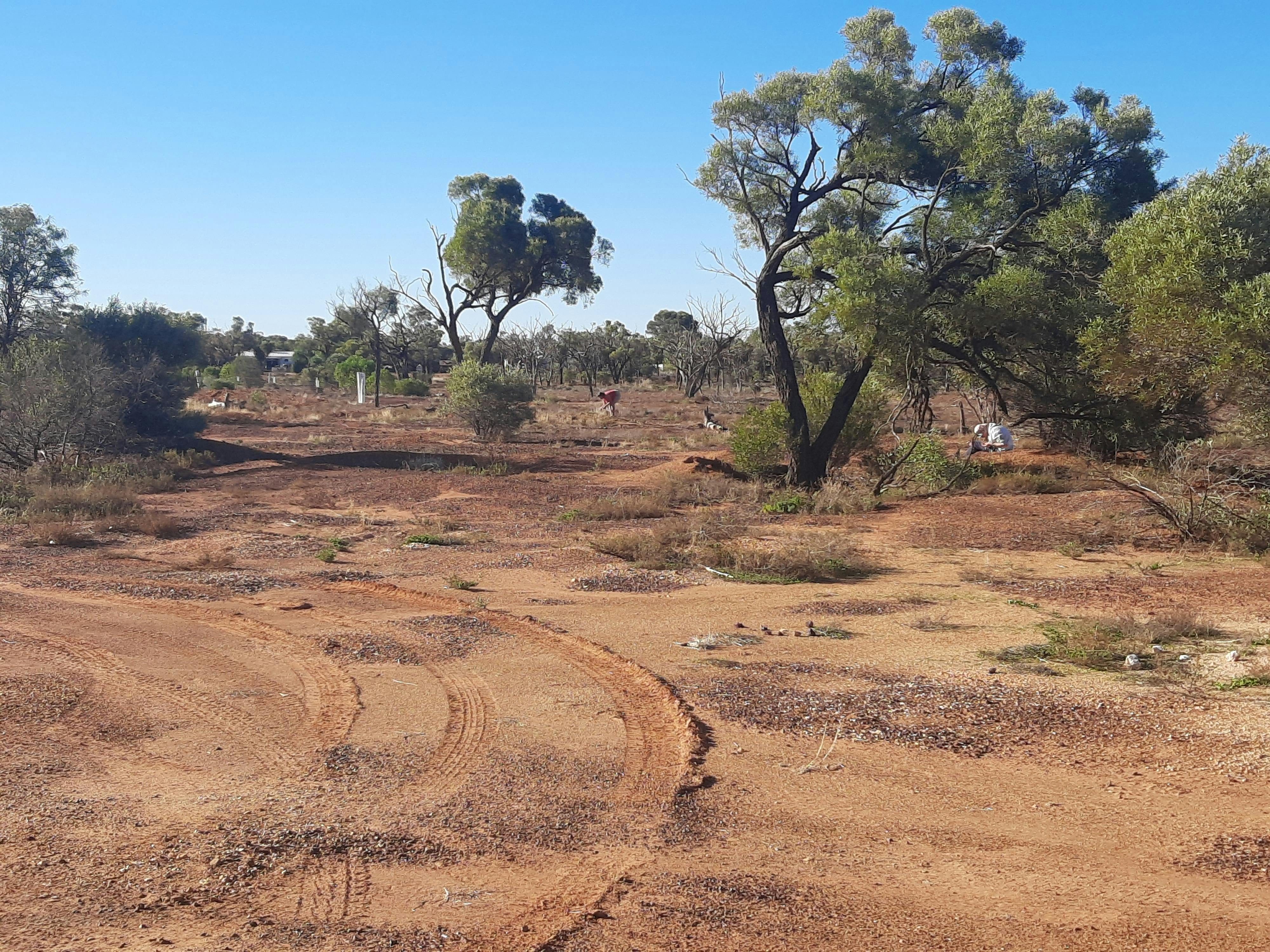 Yowah Fossicking Area