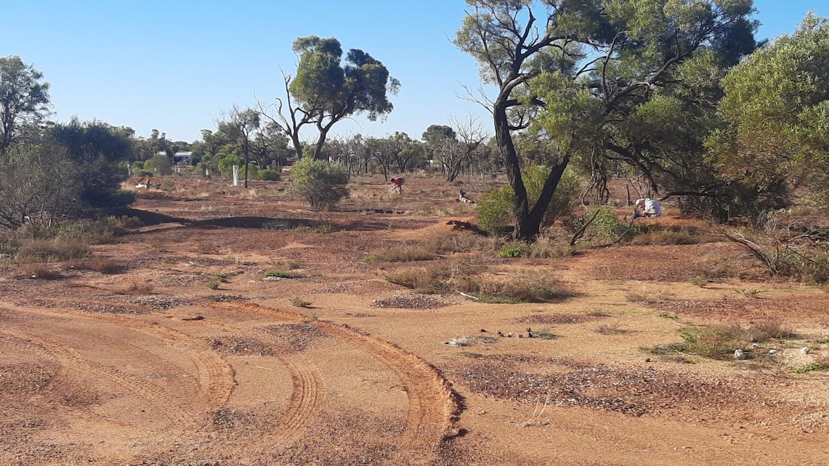 Fossicking Area