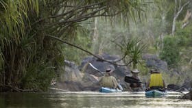 Gecko_Canoeing_Katherine _River